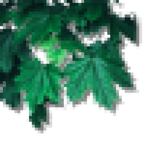 leafses